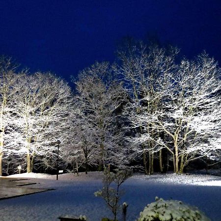 Azumino Hotaka View Hotel Dış mekan fotoğraf