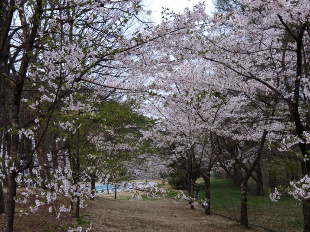 Azumino Hotaka View Hotel Dış mekan fotoğraf